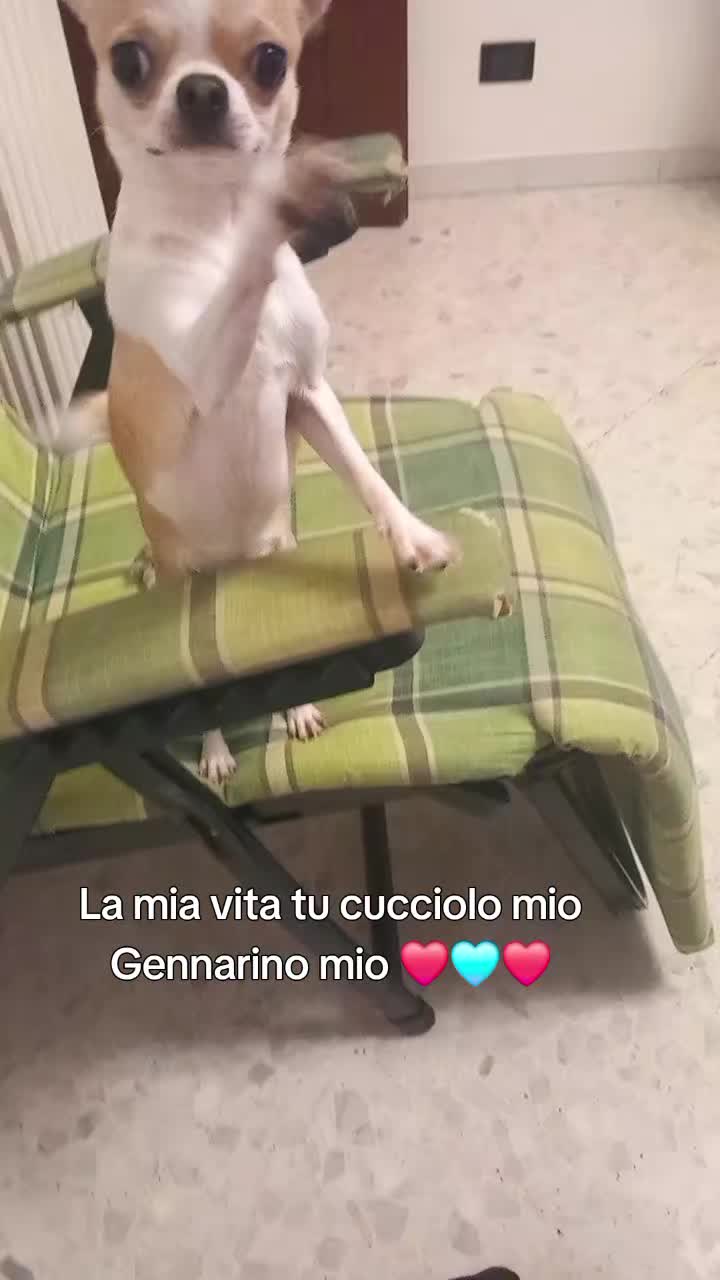 @Perla Del Sahara