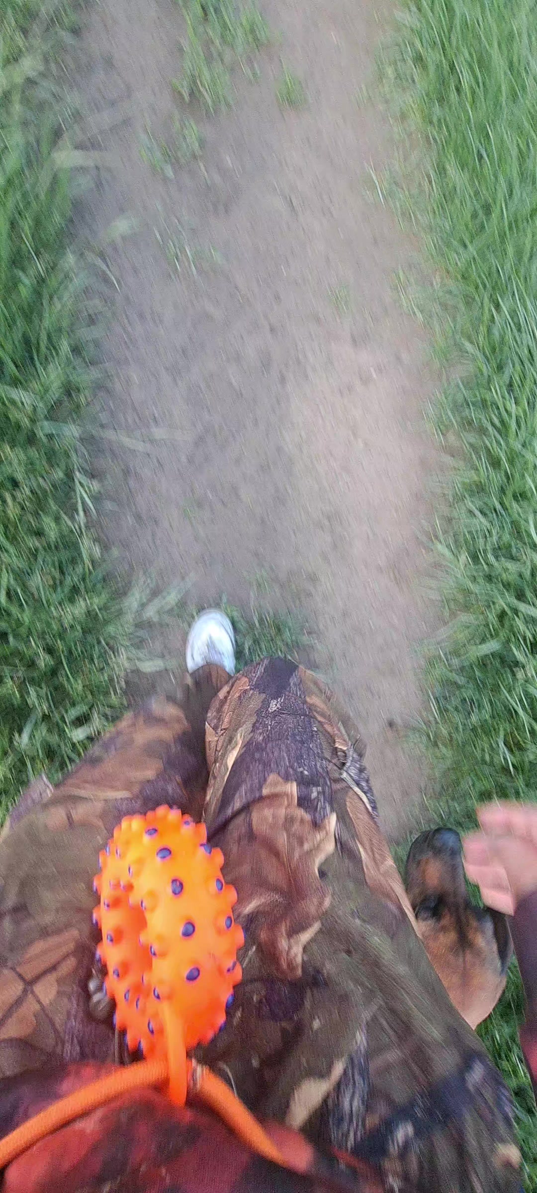 @KZ🇵🇱