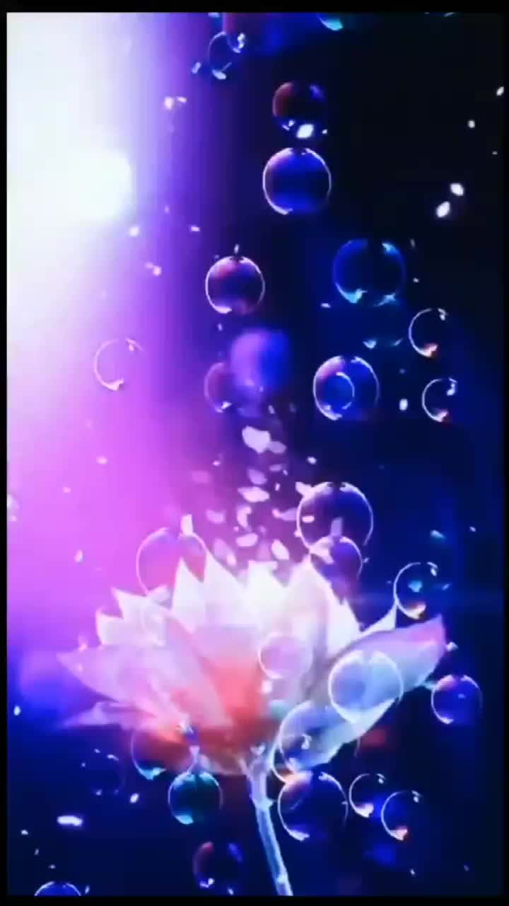 @seena