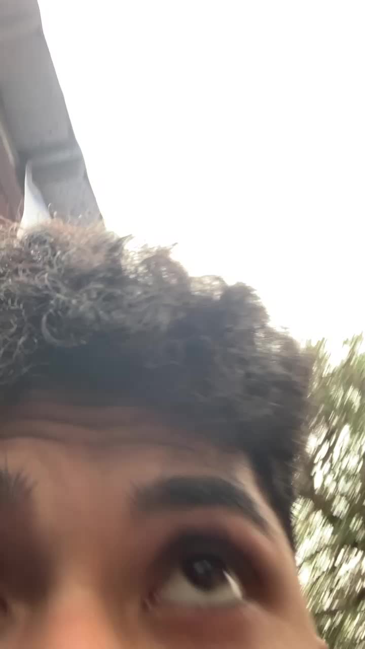 @algiiiiii