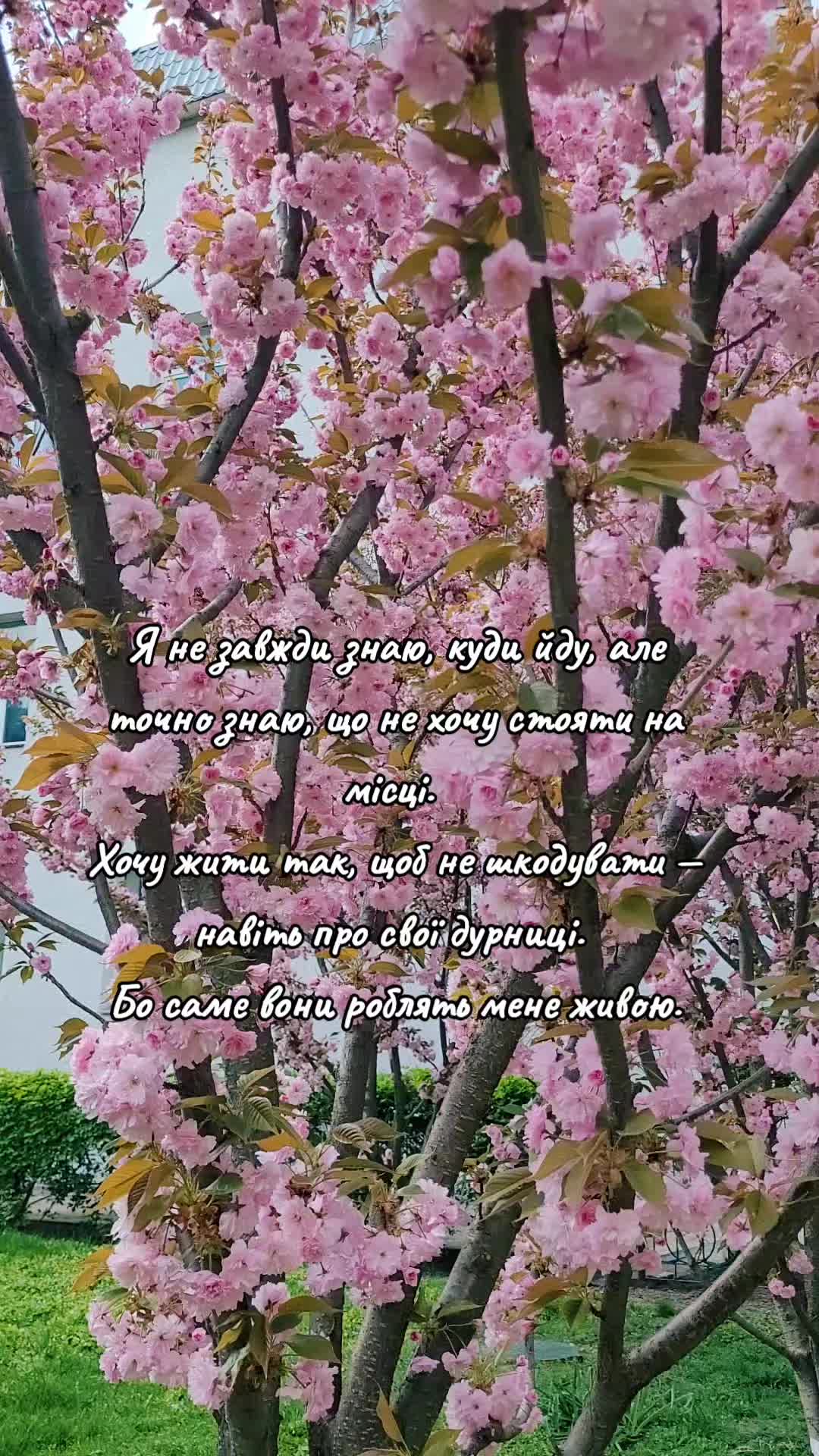 @𝓨𝓾𝓵𝓲𝓷|𝓥𝓸𝓵𝓸𝓼𝓱𝔂𝓷𝓪♡