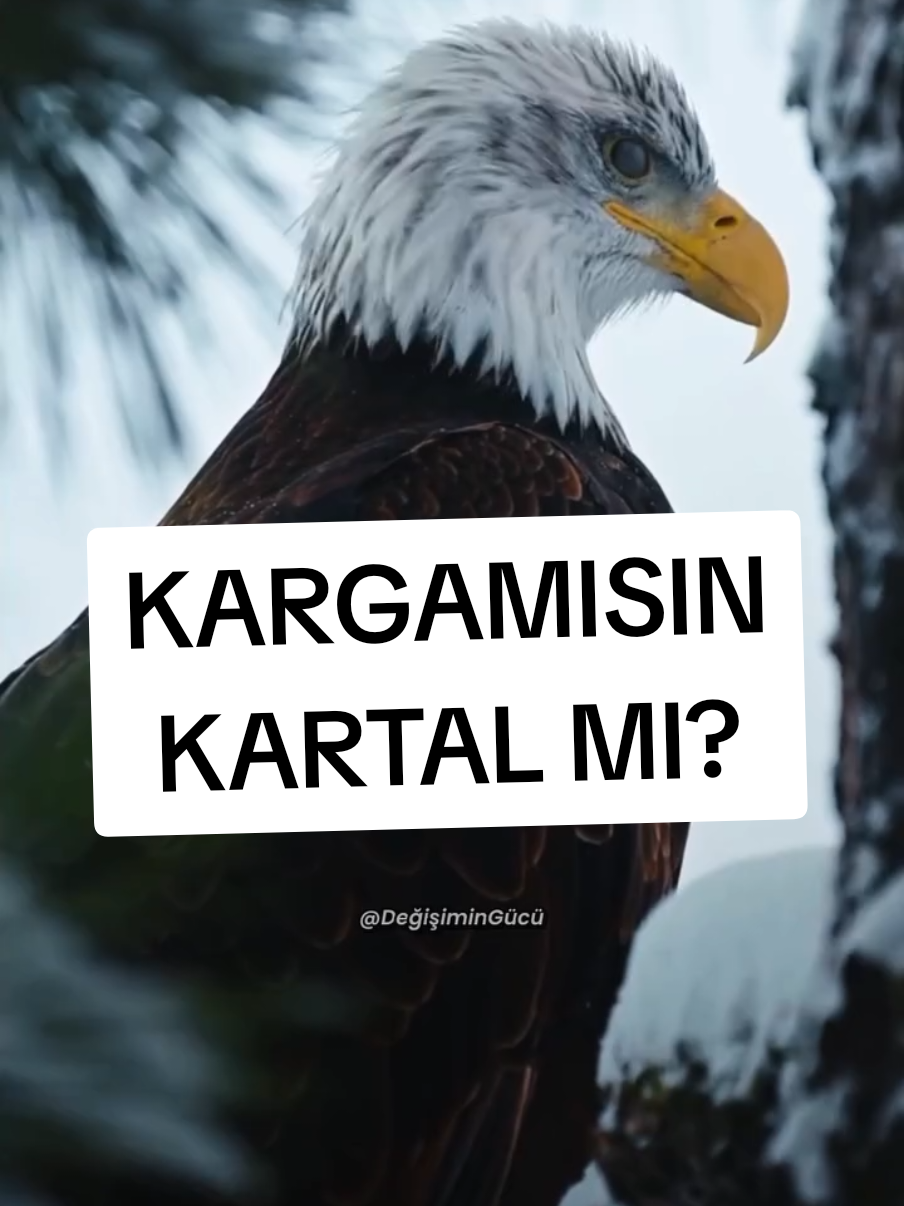@Yorum Sizin