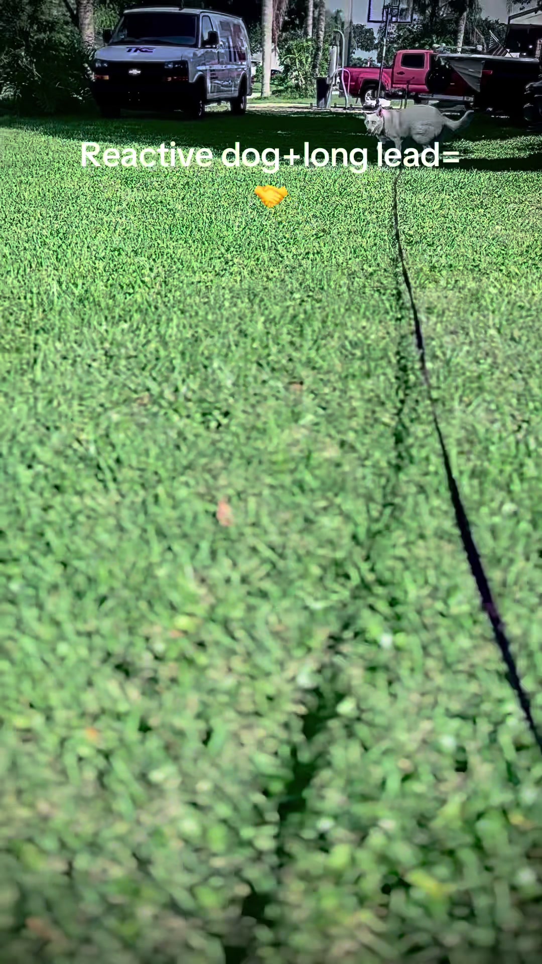 @K9.corporal