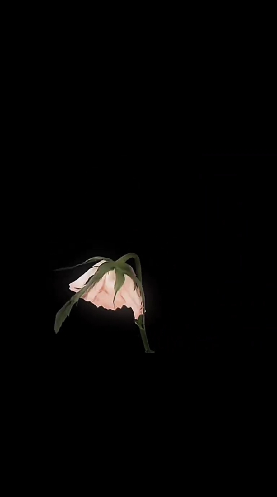 @😃