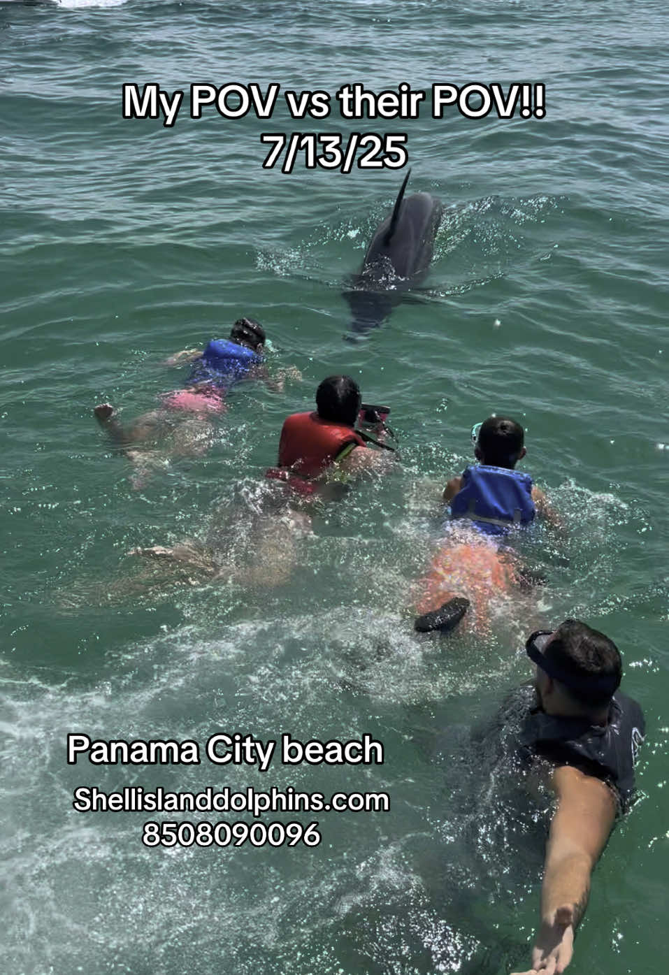 @Shell Island Dolphin Tours 🐬
