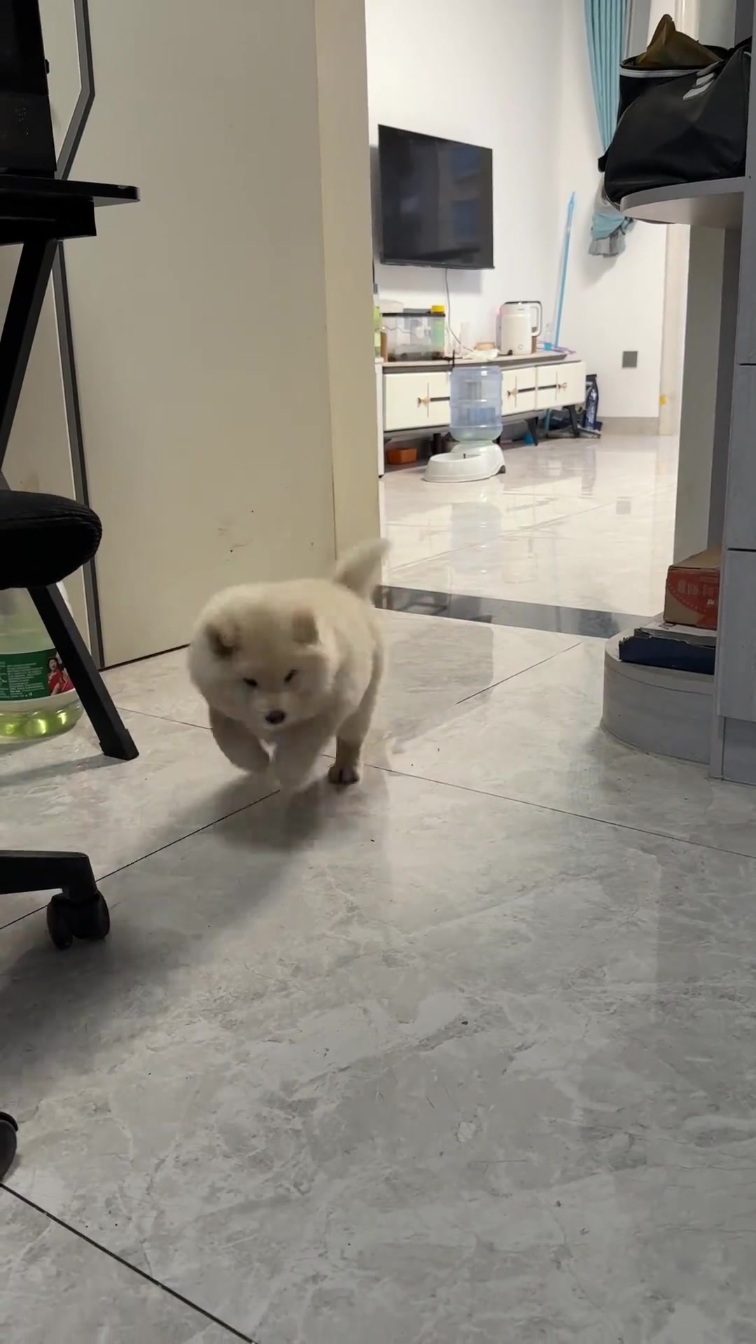 @MeowWoofMoments