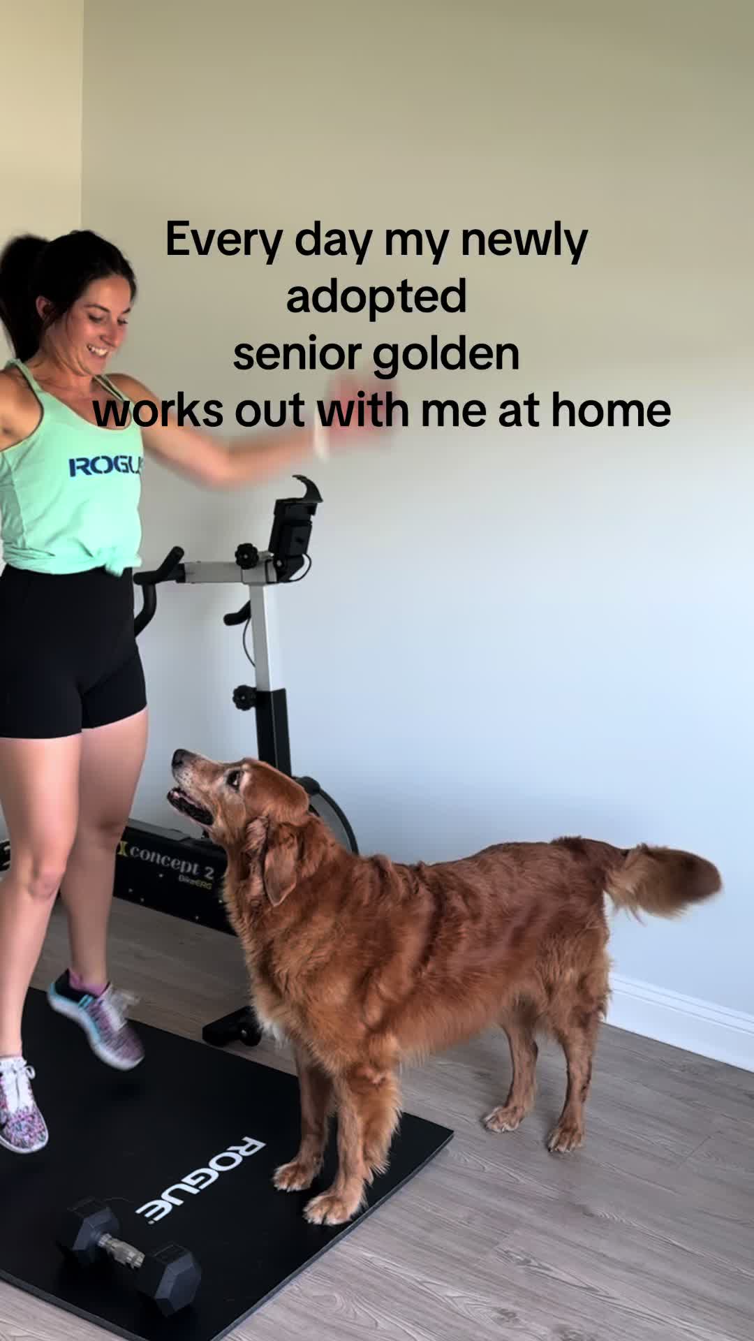 @katiegetsto