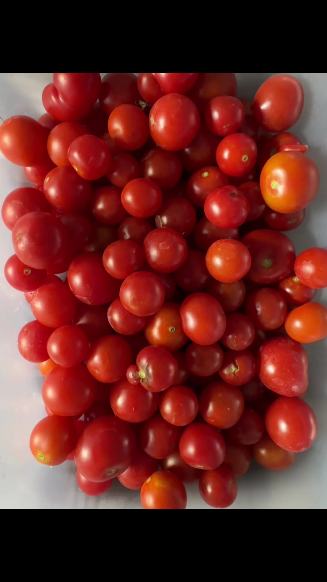 @grandadgreenhouse