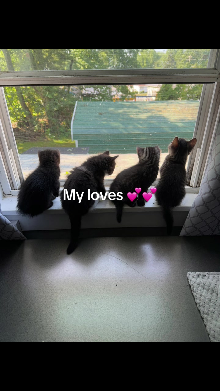 @TailsandWhiskersCo