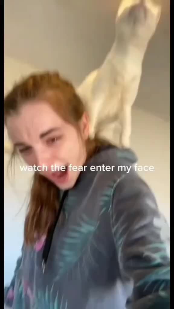 @𝓕𝓞𝓤𝓝𝓔 ✝️