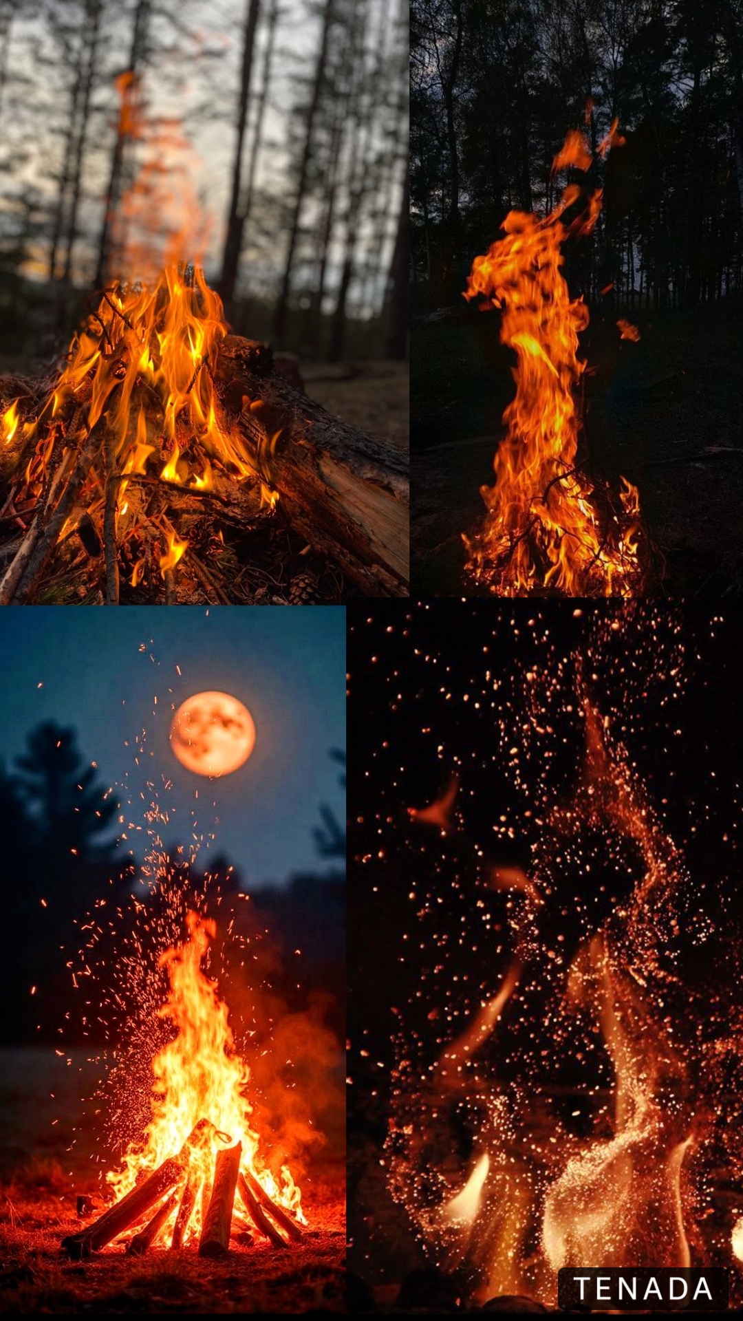 @😈🌲ЛЕСНИЧИЙ | СЛАВЯНИН🐻🐺
