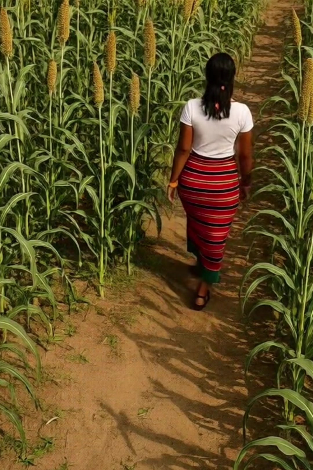@إبراهيم 🇪🇷