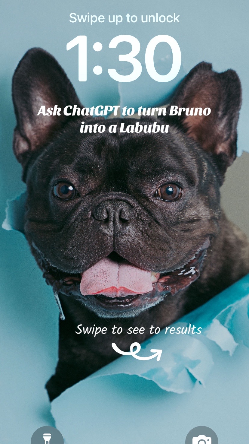 @Bruno the Frenchie