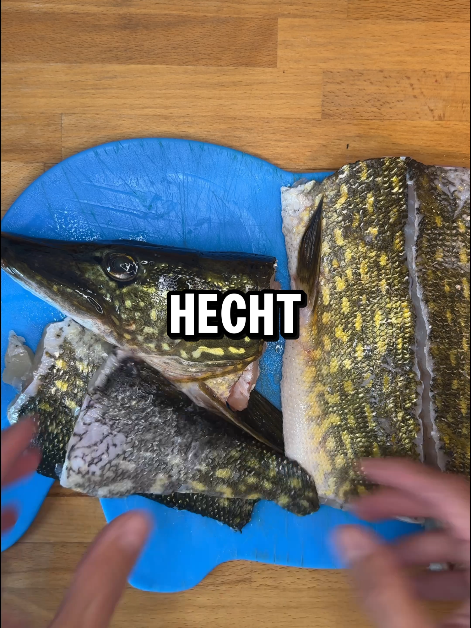 @Fischbulette