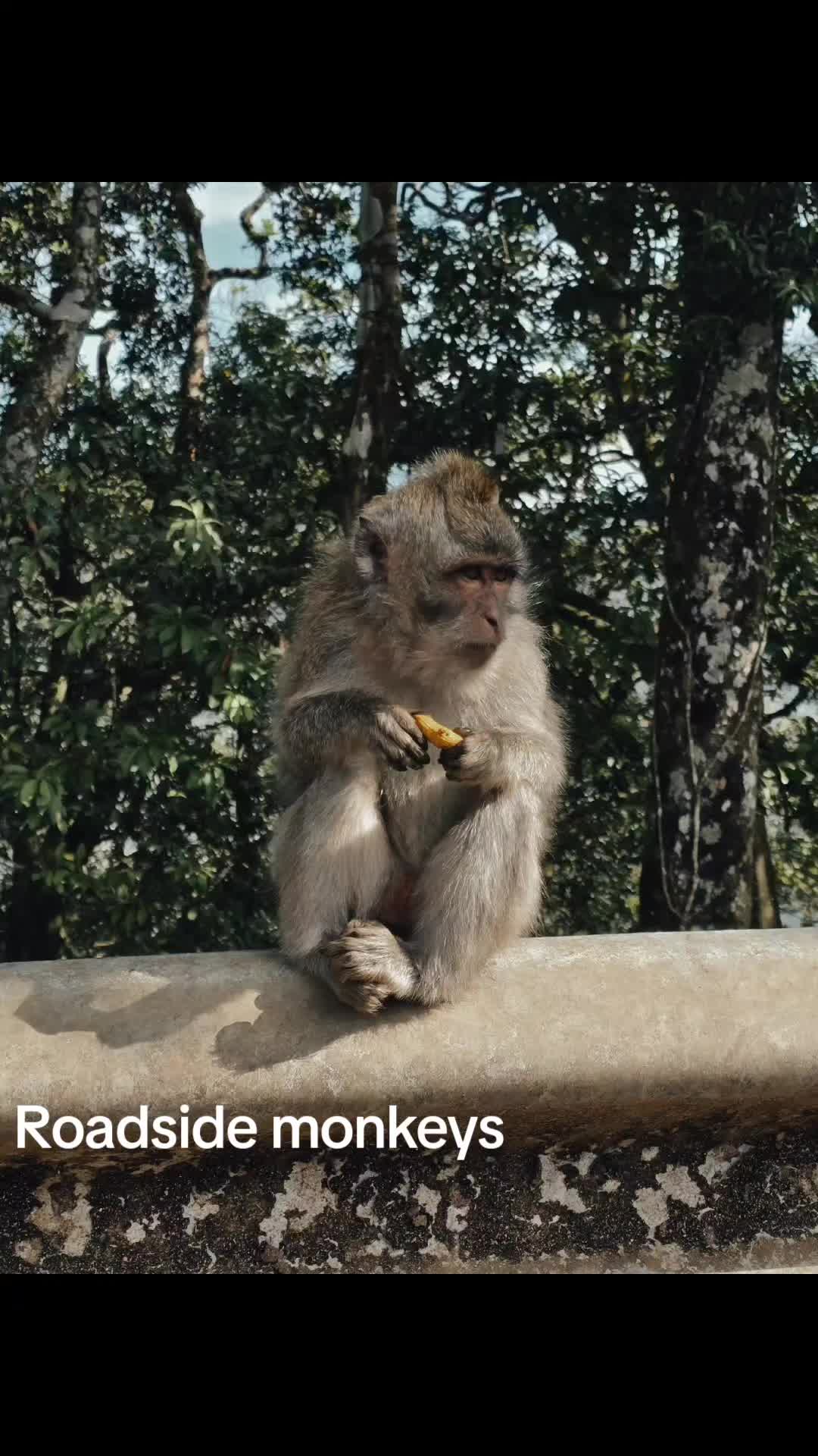 @joetravels