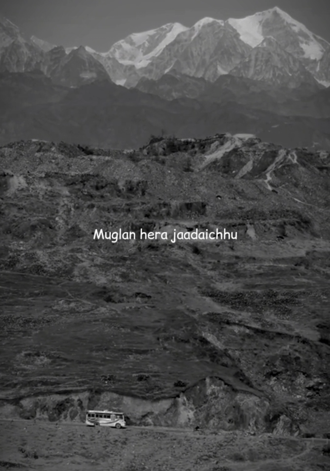 @𝐋𝐲𝐫𝐢𝐜𝐚𝐥 𝐕𝐢𝐛𝐞𝐬