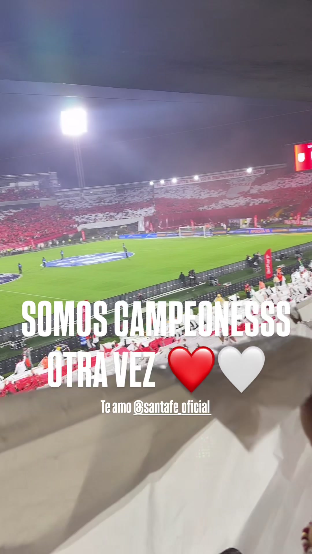 @Carolina Acevedo