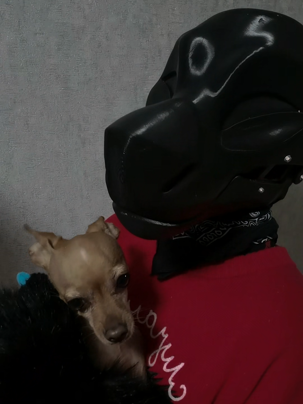 @꥟Тилль꥟ @