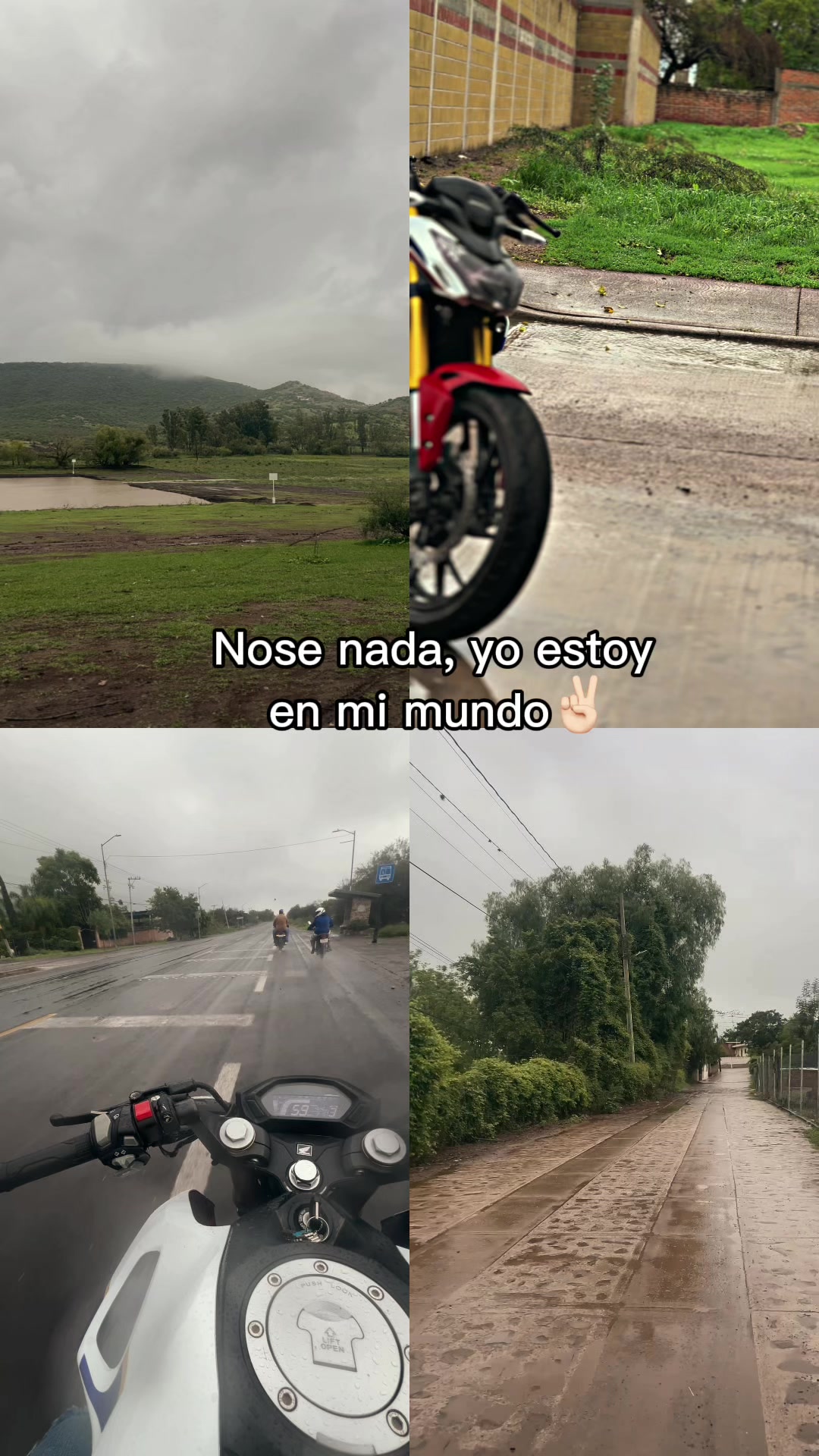 @𝐌𝐀𝐍𝐔𝐄𝐋