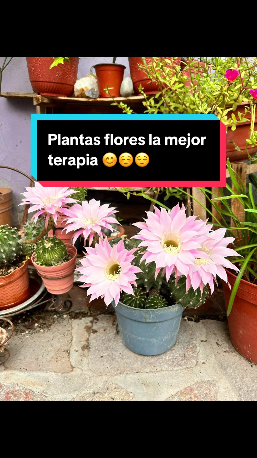 @Chely Gonzalez