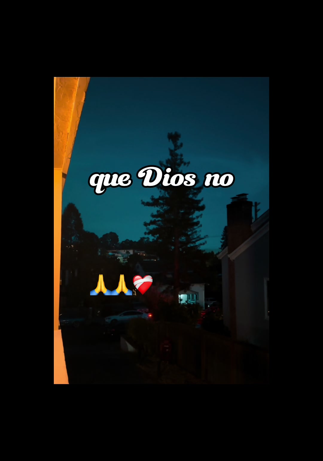 @elexandra20
