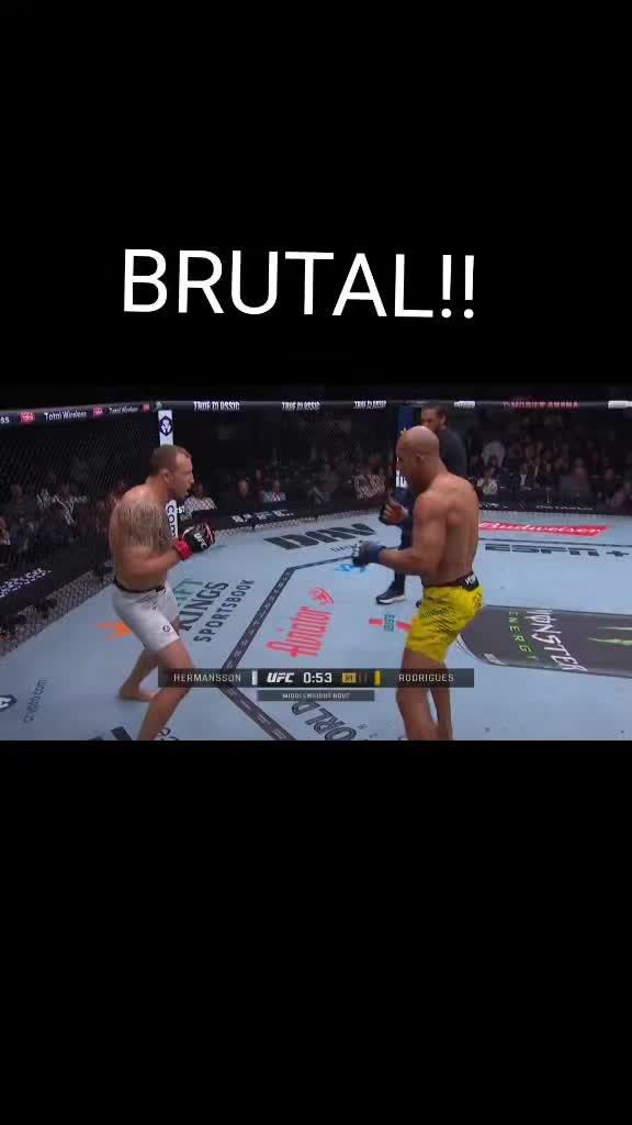@Isso &eacute; MMA