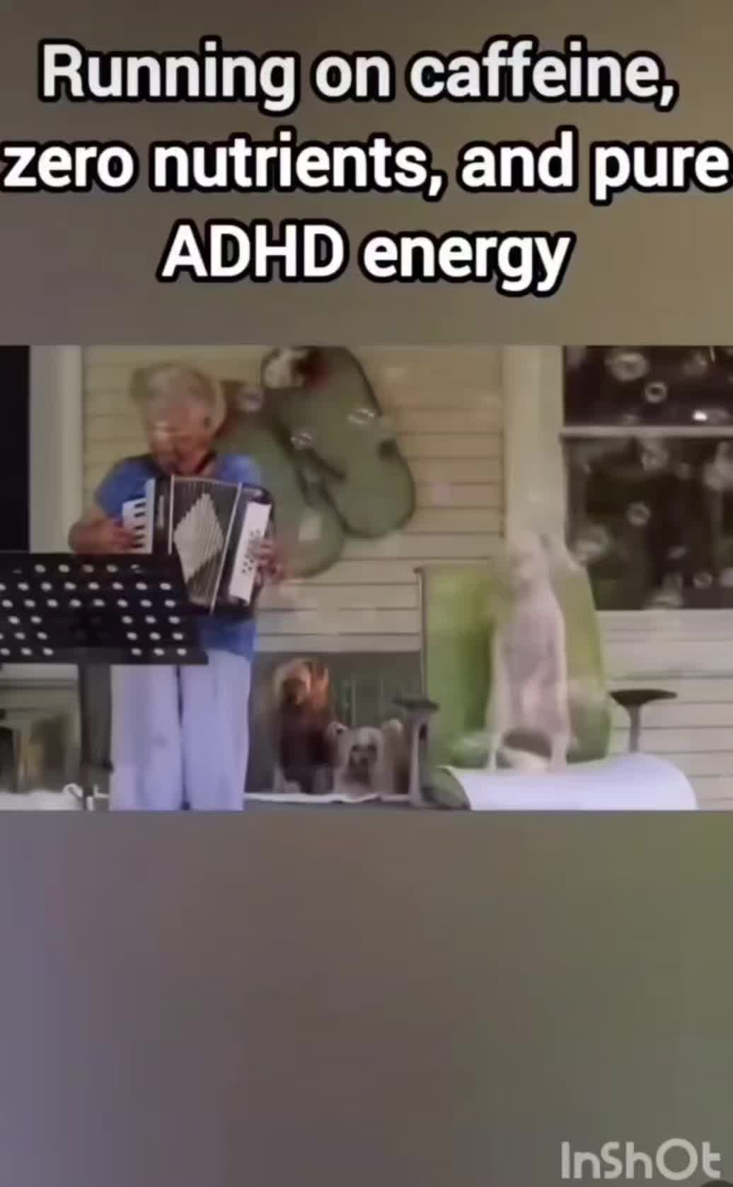 @wanderingswhimsy