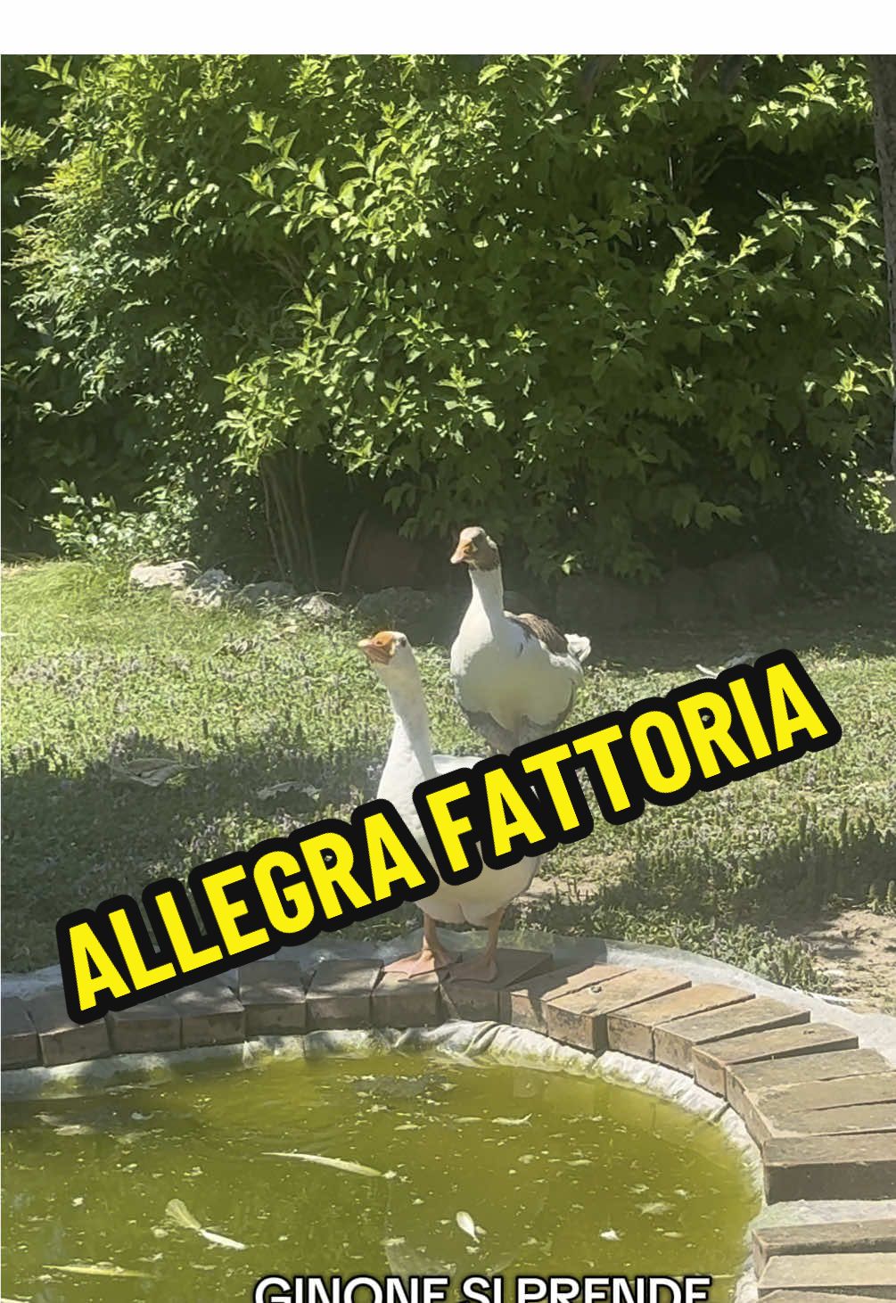 @Eleonora B.