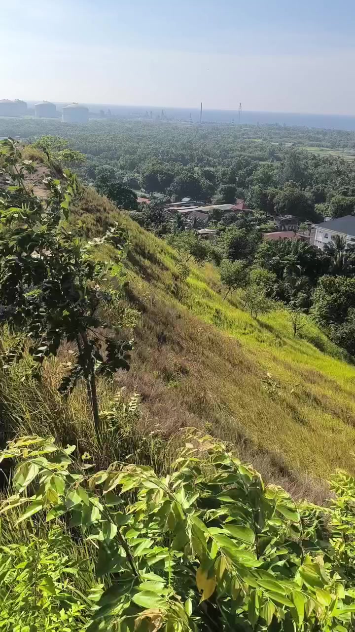 @Utii88888