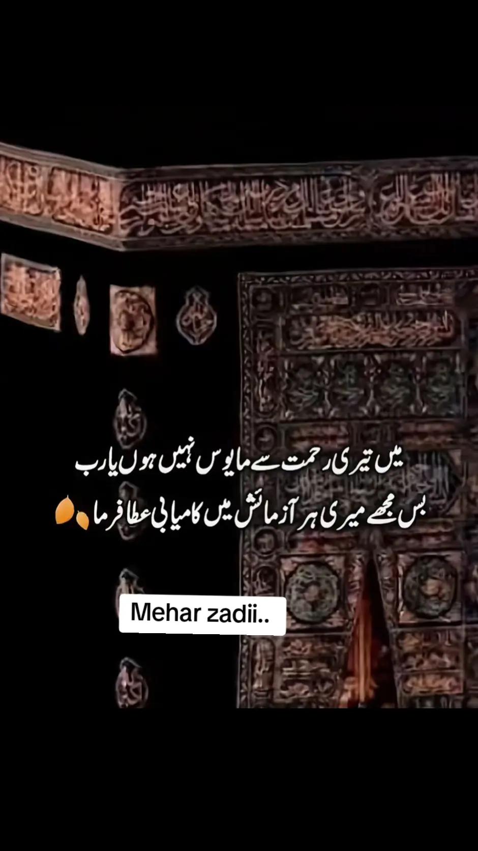 @Mehar Zadi 🖇️🤞🏻