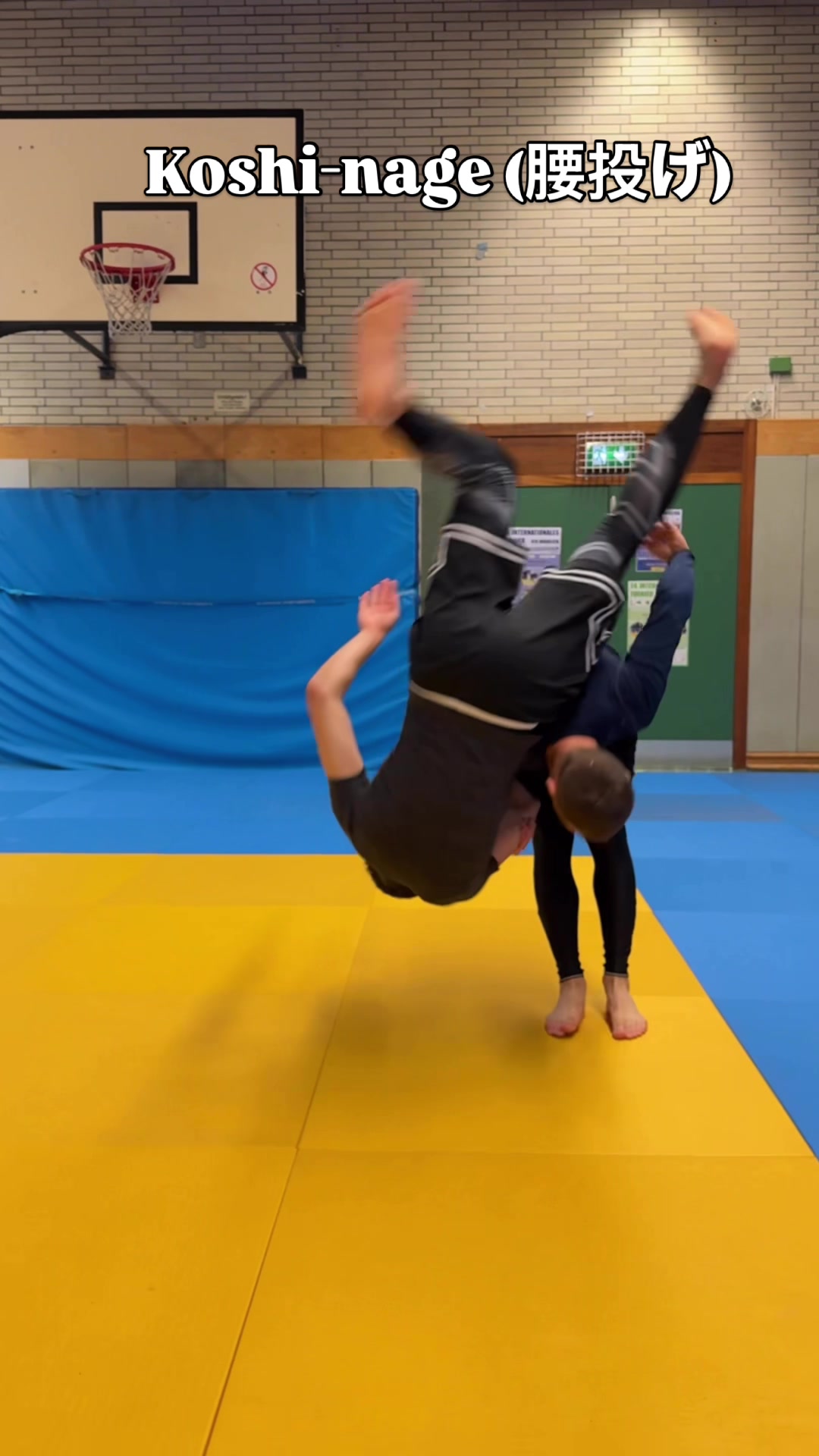 @Cyber-Judoka