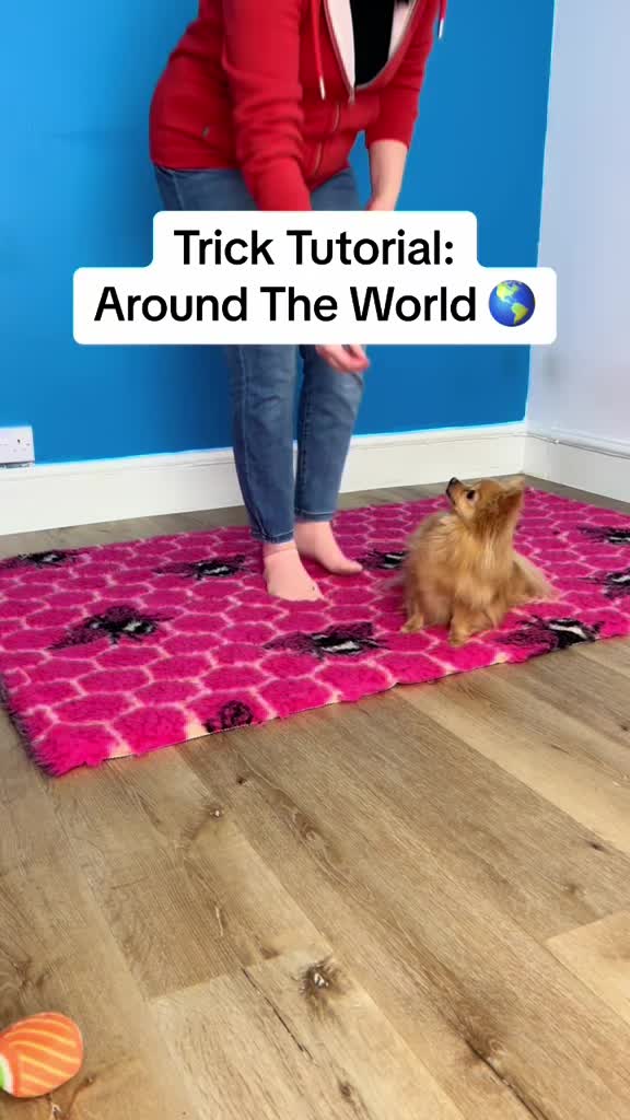 @Train Up Pup