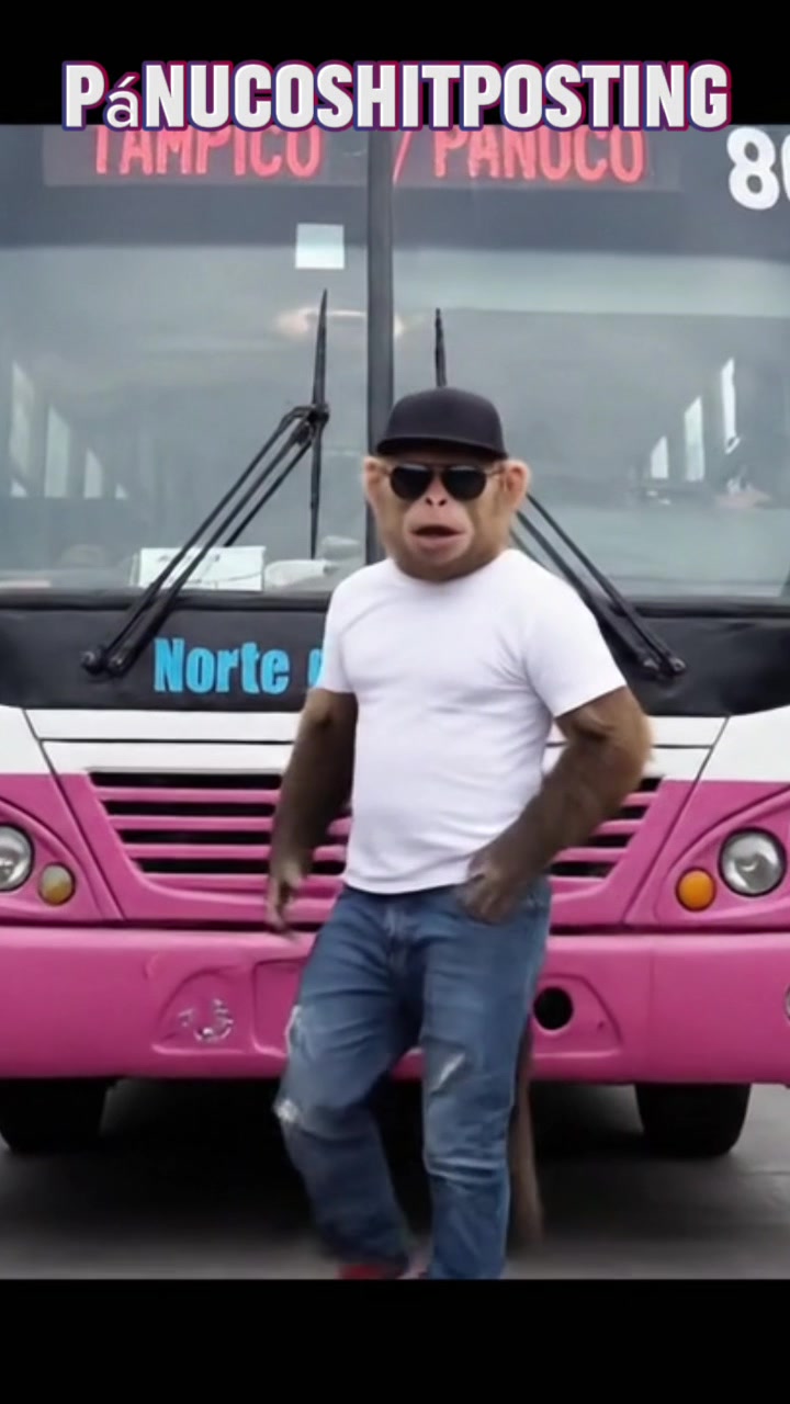@P&aacute;nucoShitposting