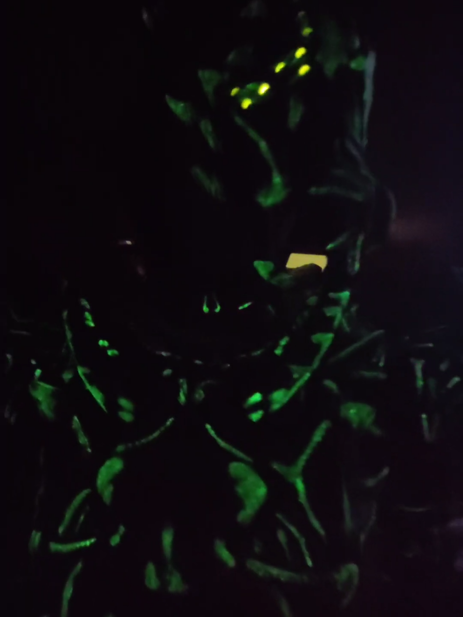 @Bambou Cosplay