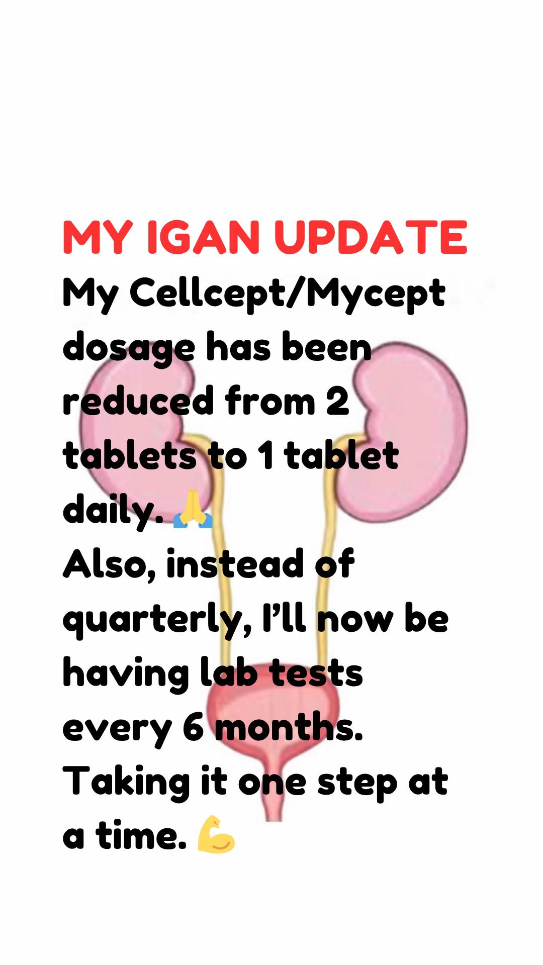 @IGANwarrior