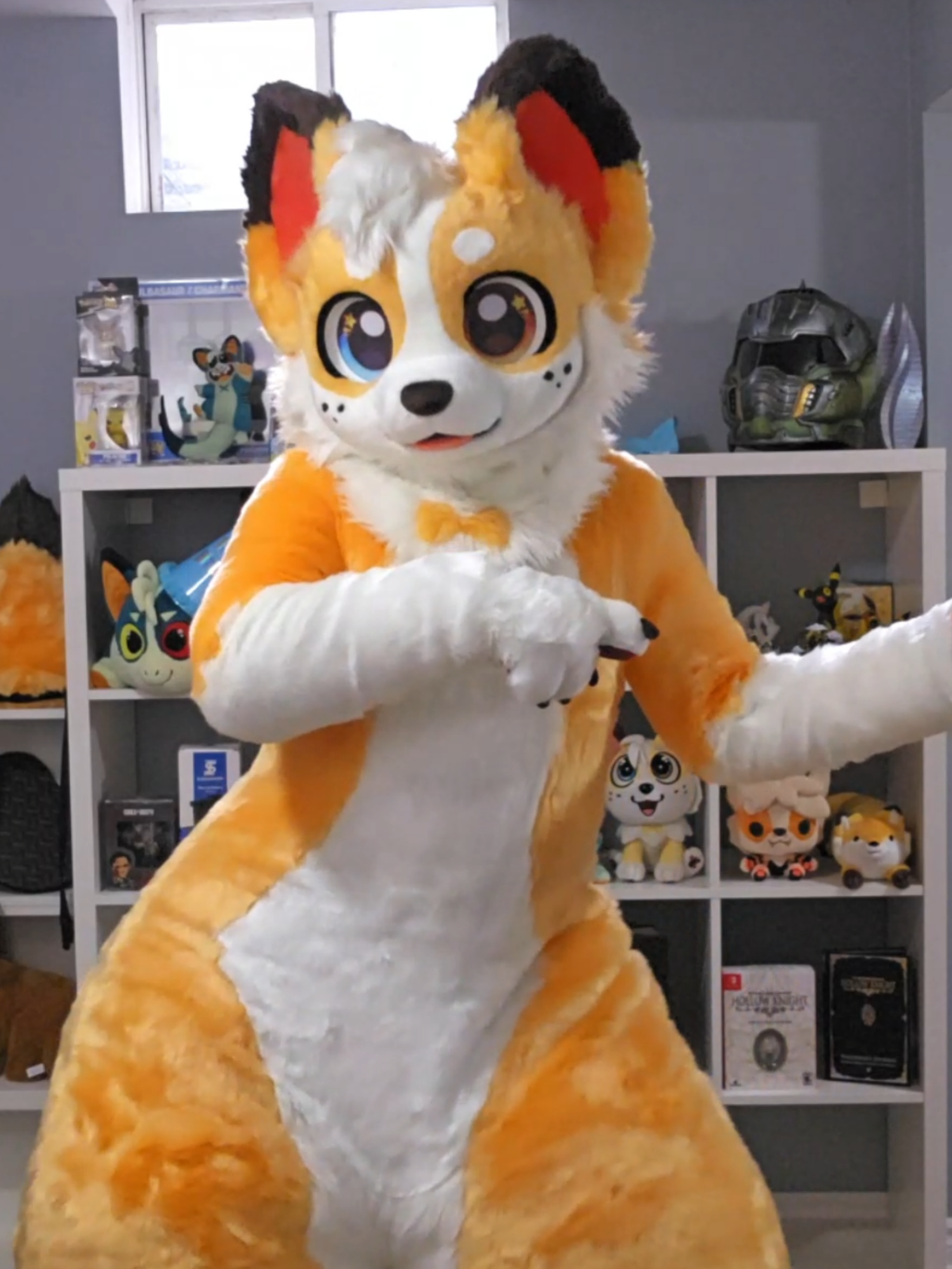 @Corgi