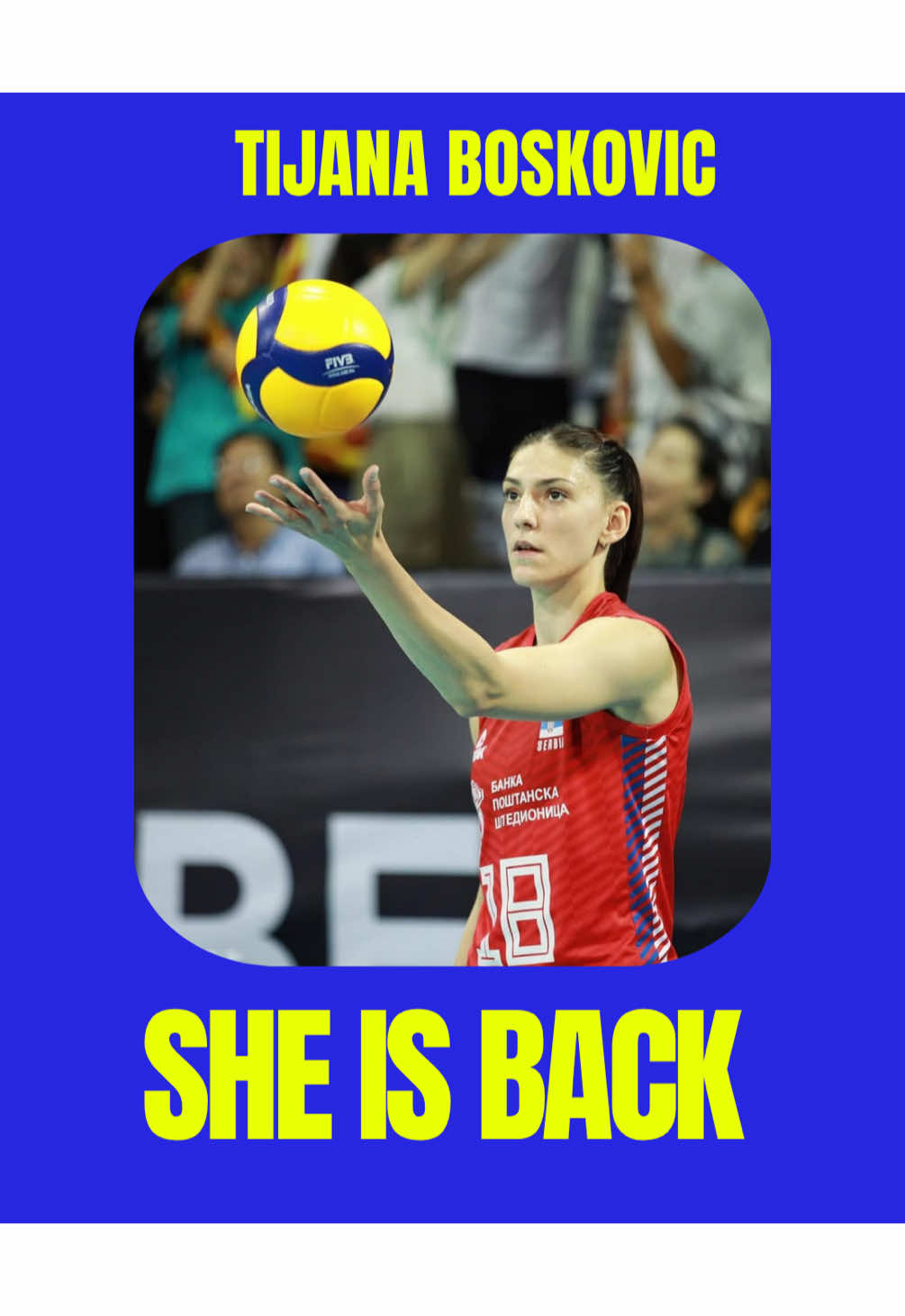 @Volleyballfan