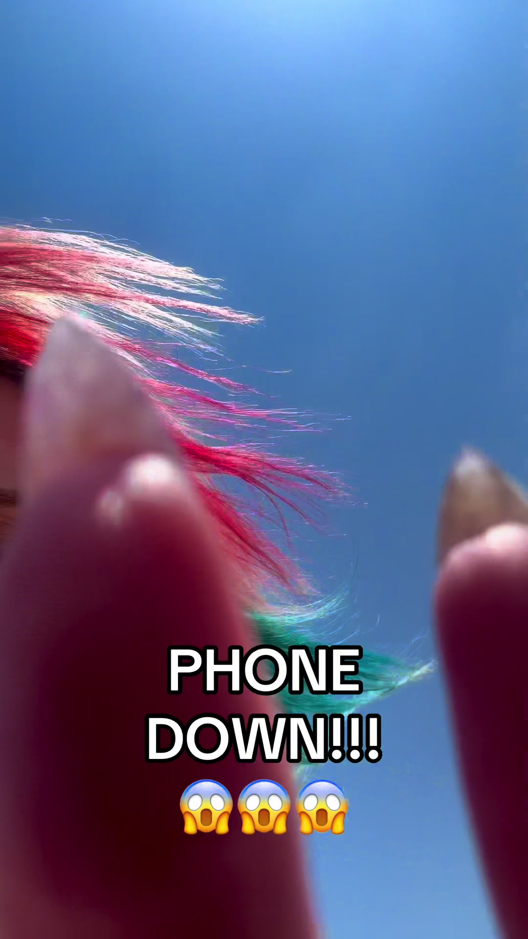 @Sarah Mushenheim