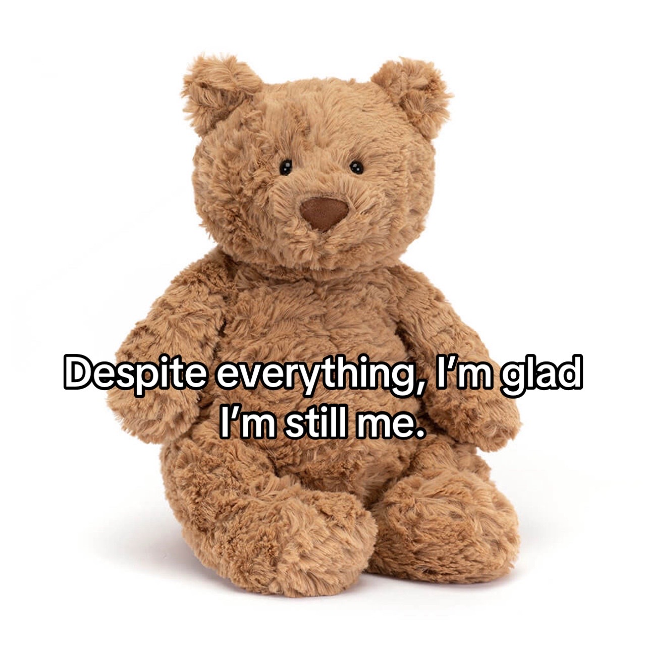 @sterling.the.cat