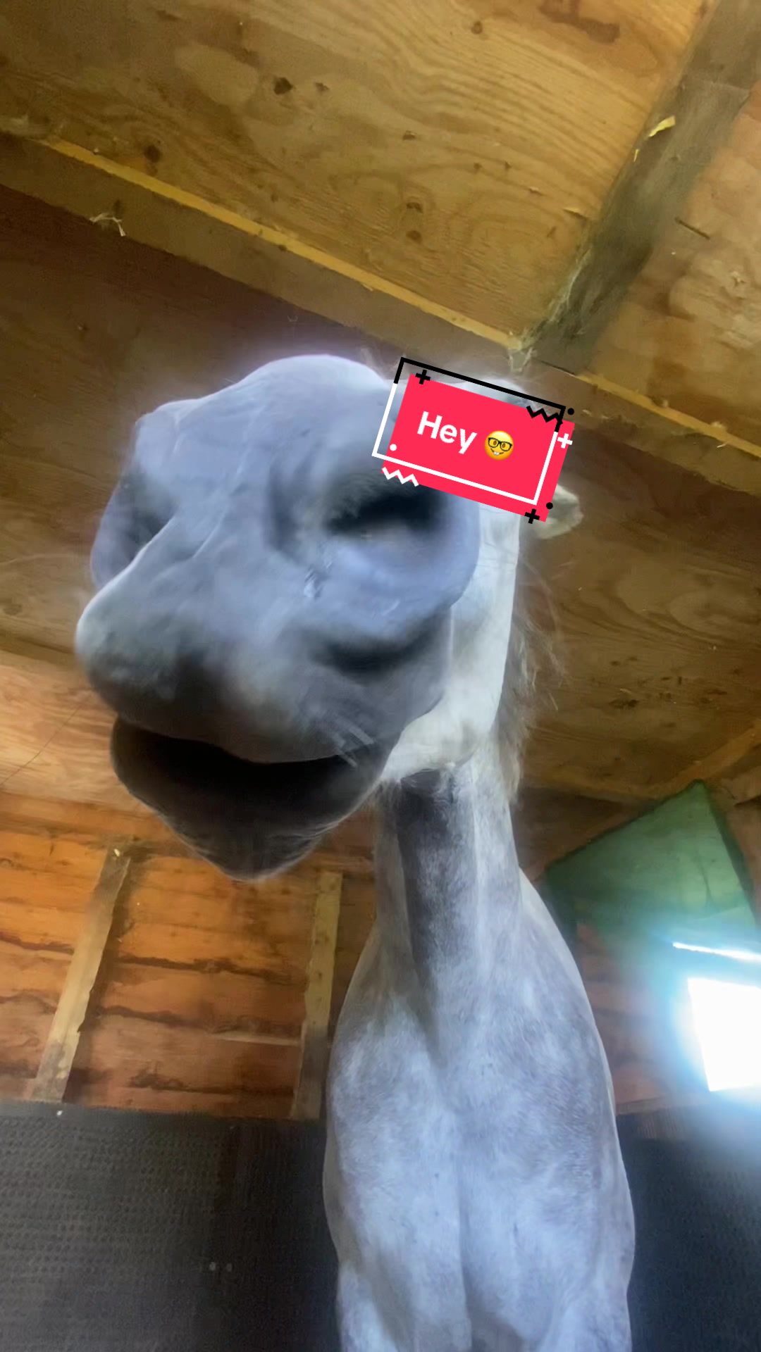 @🤍🤍