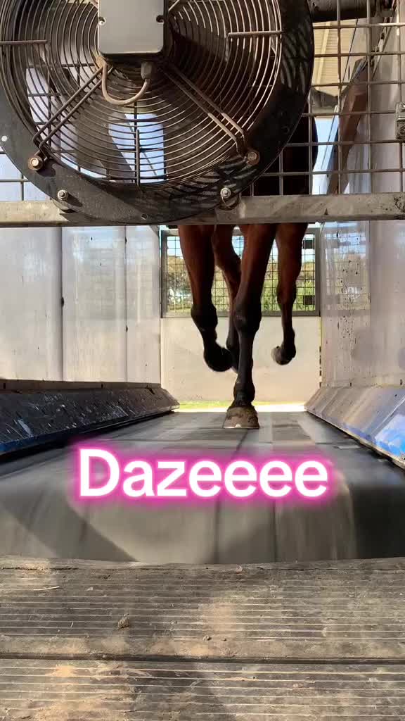 @meghanktaylor0