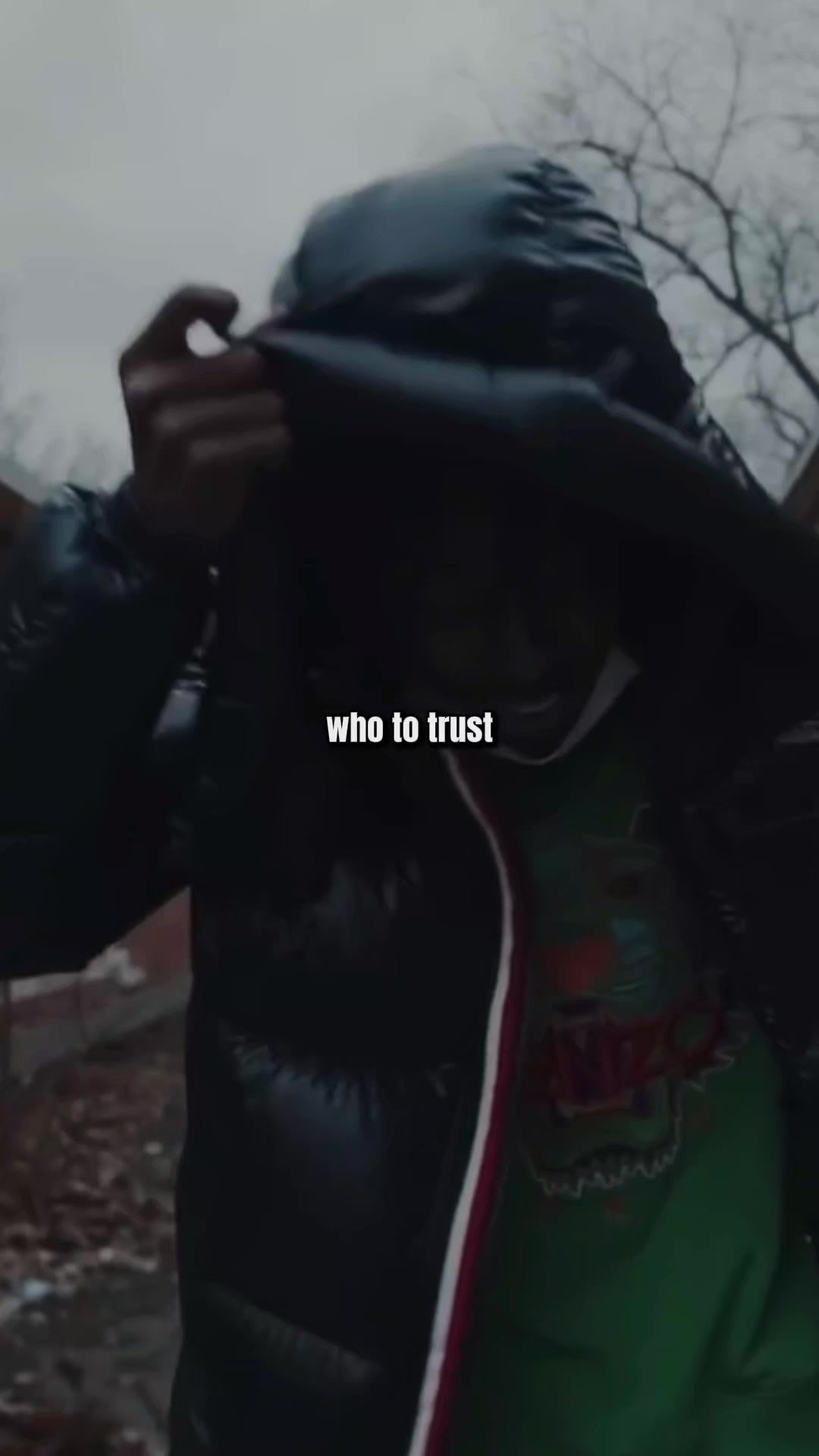 @vdz