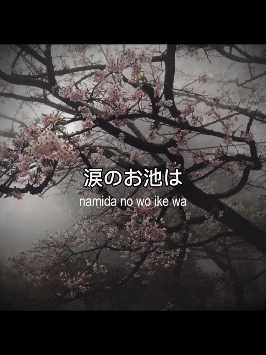 @☆𝓯𝓻𝓮𝓪𝓴𝔂☆