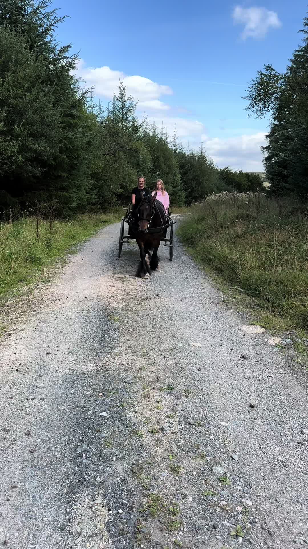 @Dartmoor Carriages