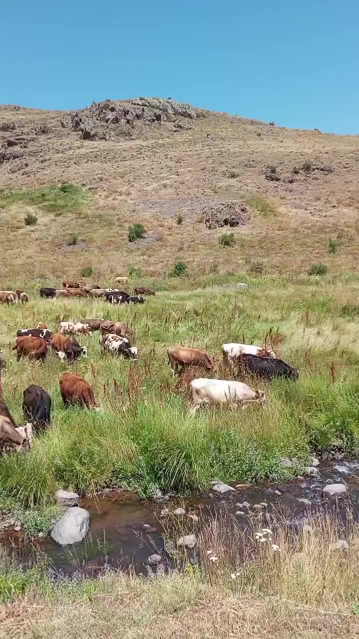 @murat coşkun