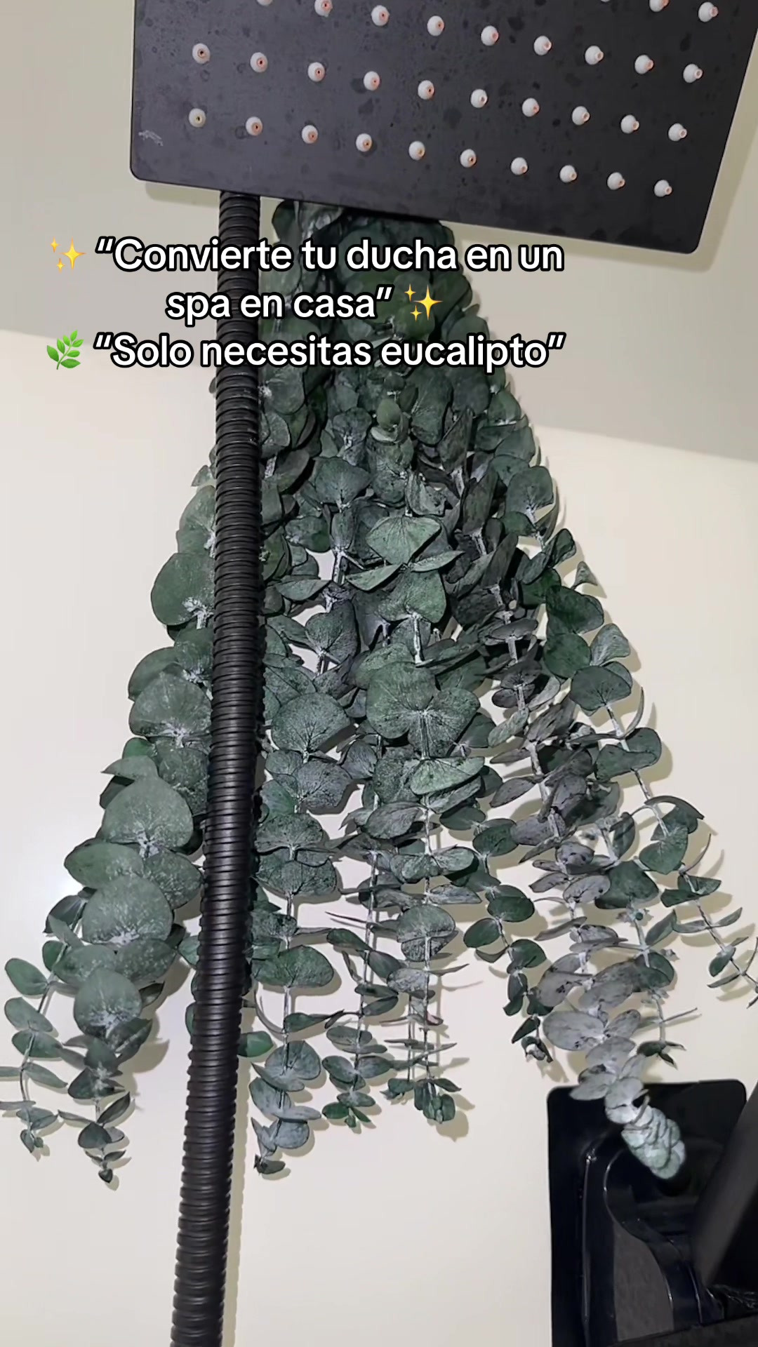 @𝓐𝓫𝓫𝔂 𝓶𝓸𝓻𝓪𝓭𝓮𝓵👗🛍️