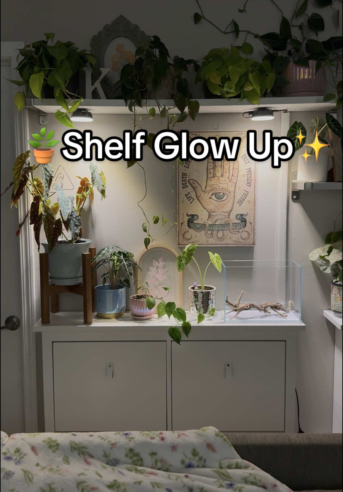 @sammyscapes