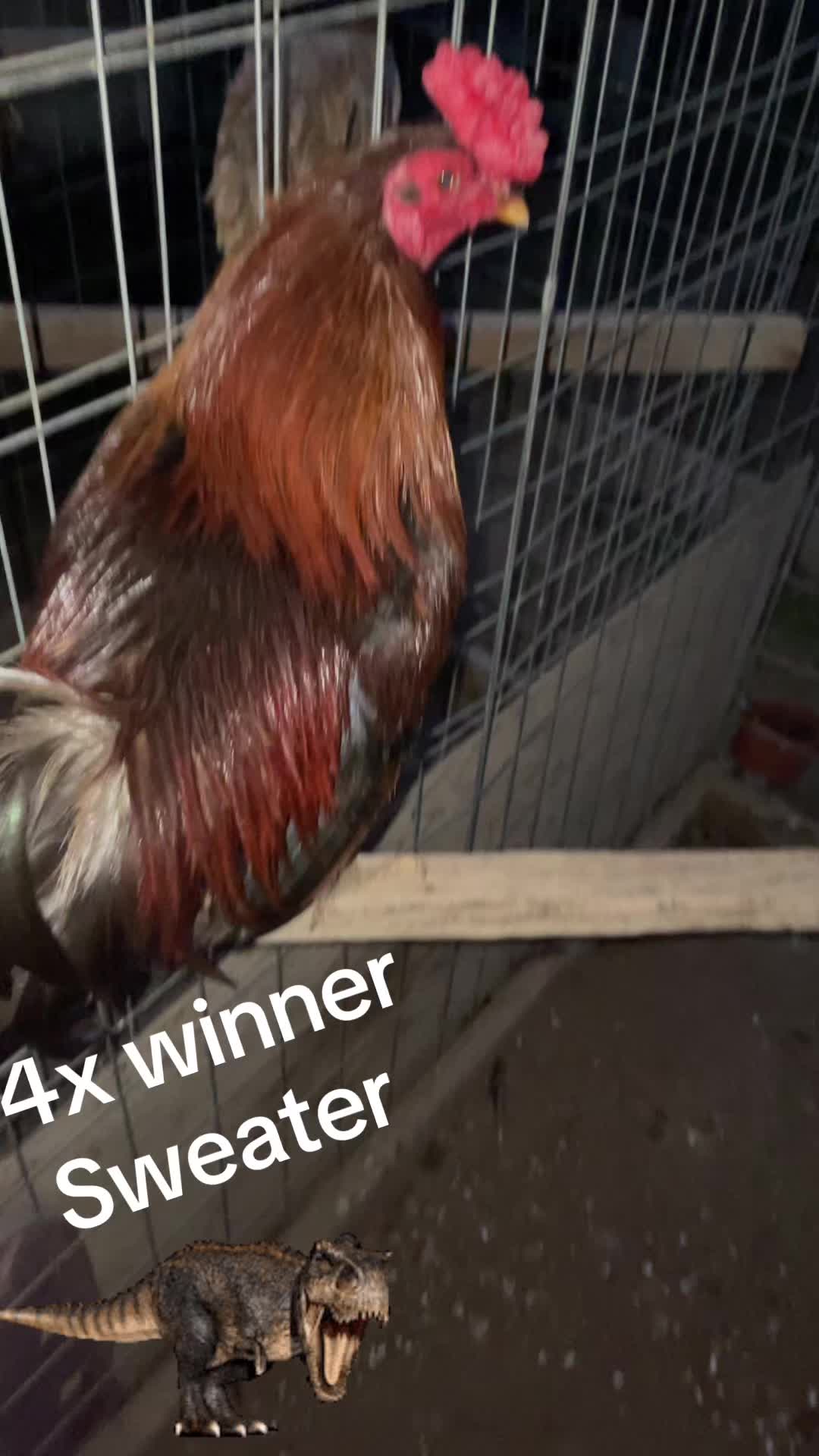 @Josephayala143