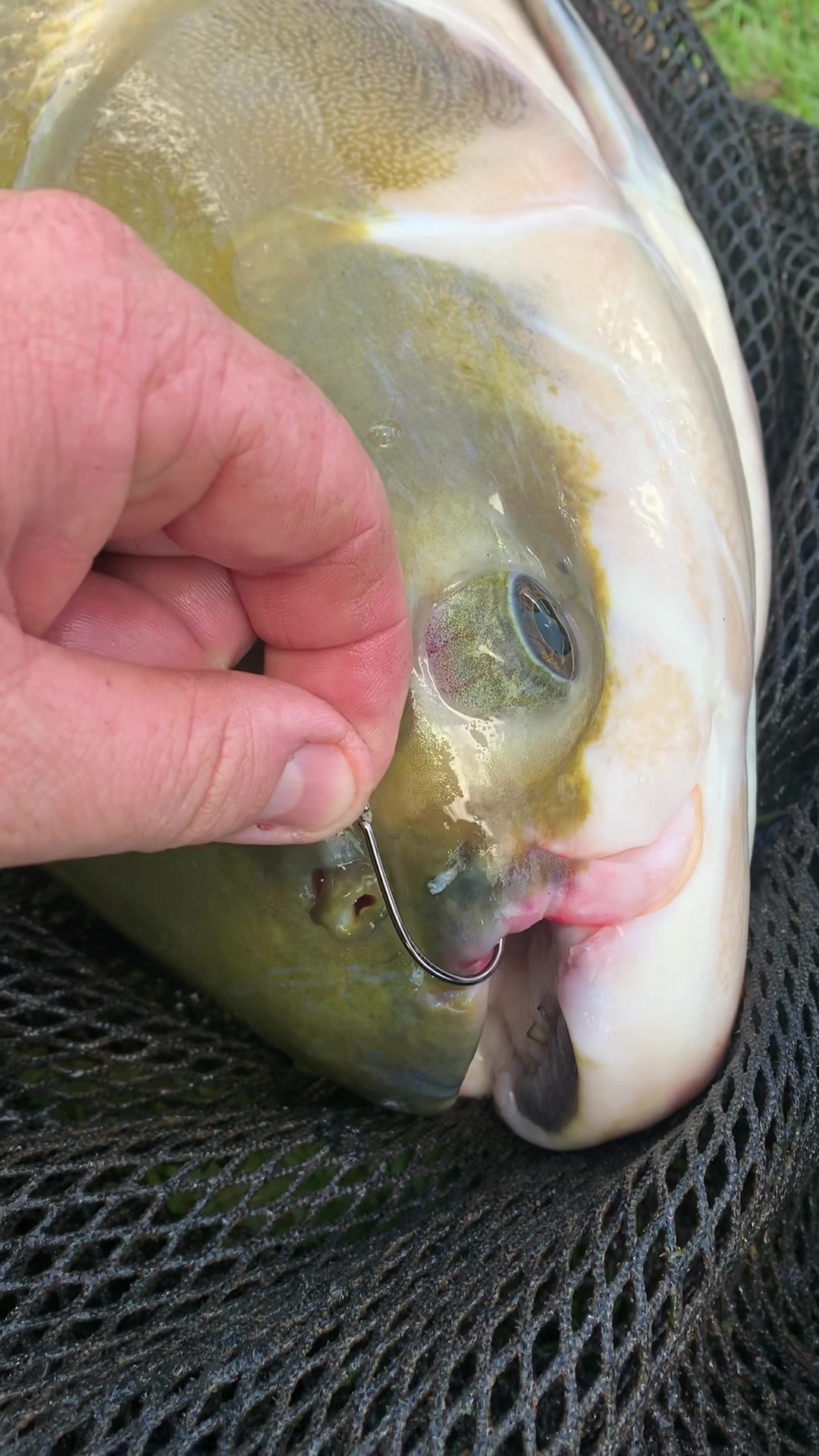 @Dimex Pescador