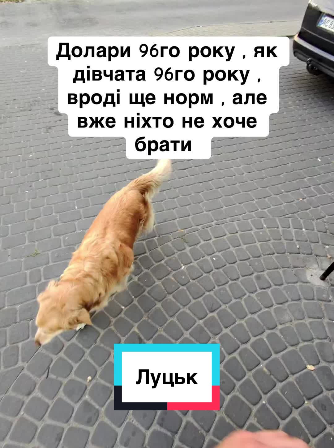 @Майвей